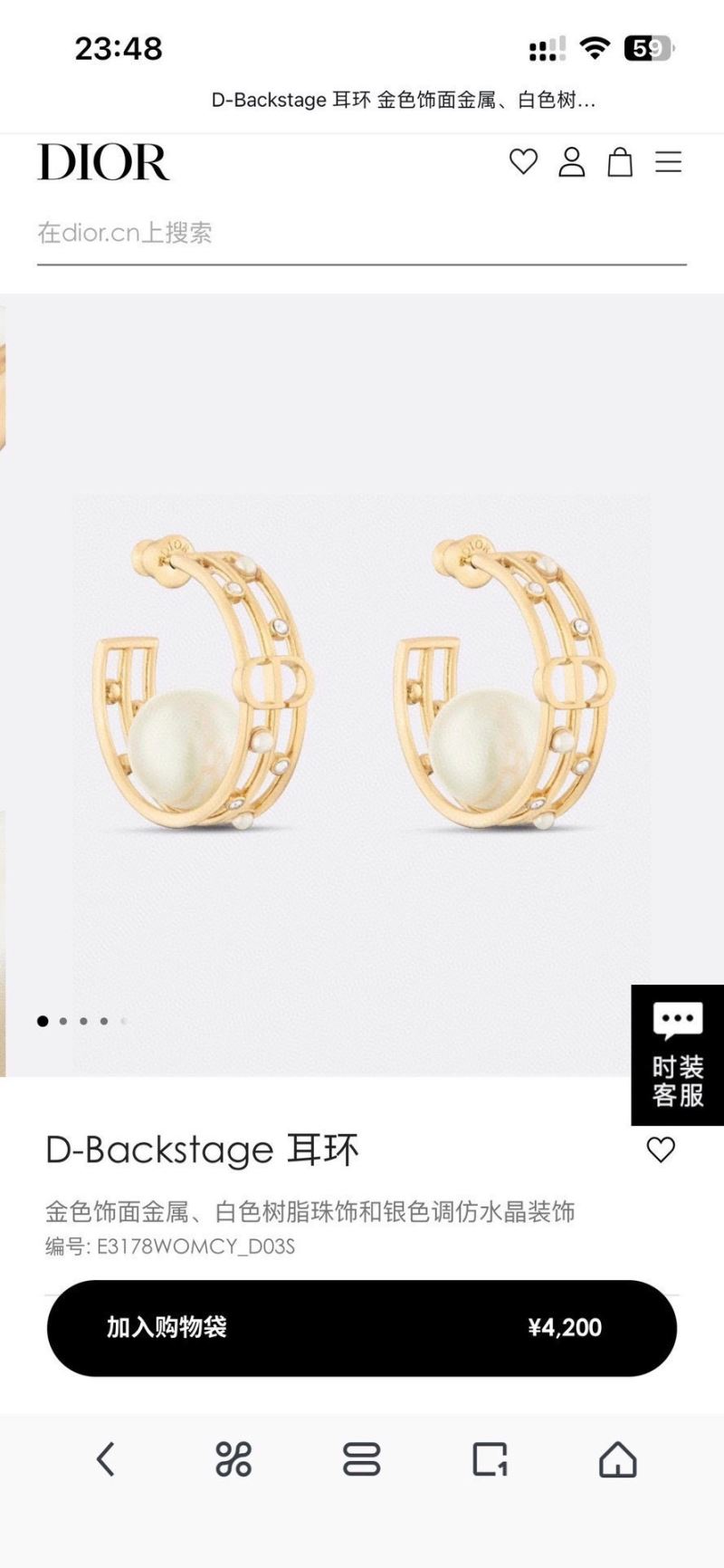 Christian Dior Earrings